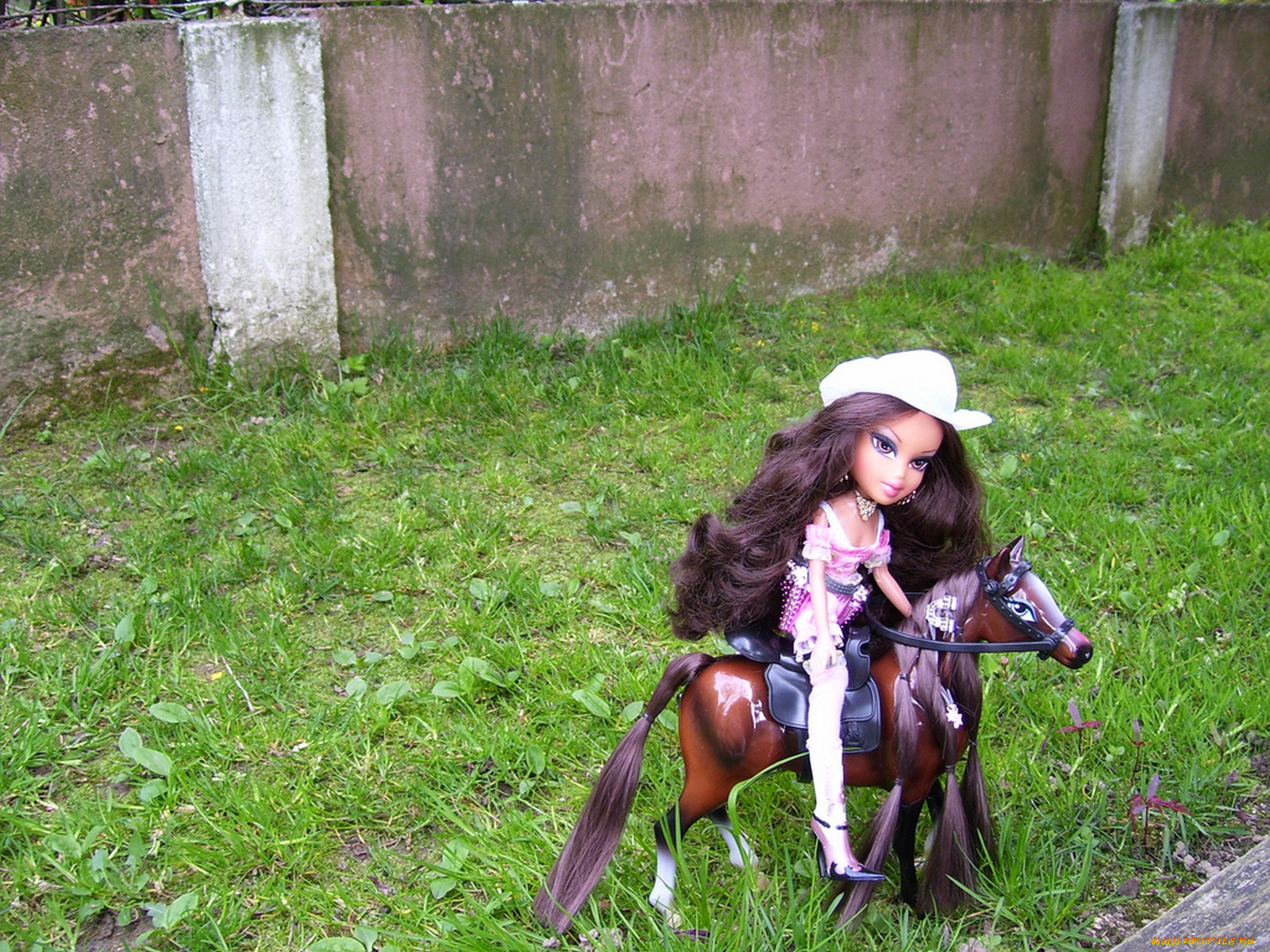 , bratz, 